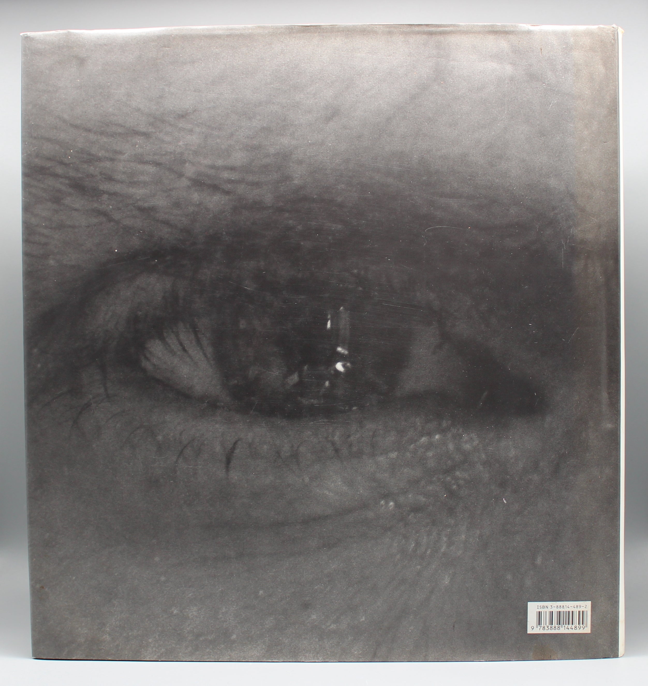 Robert Mapplethorpe | Mapplethorpe | Gebundene Ausgabe | Zustand Sehr Gut