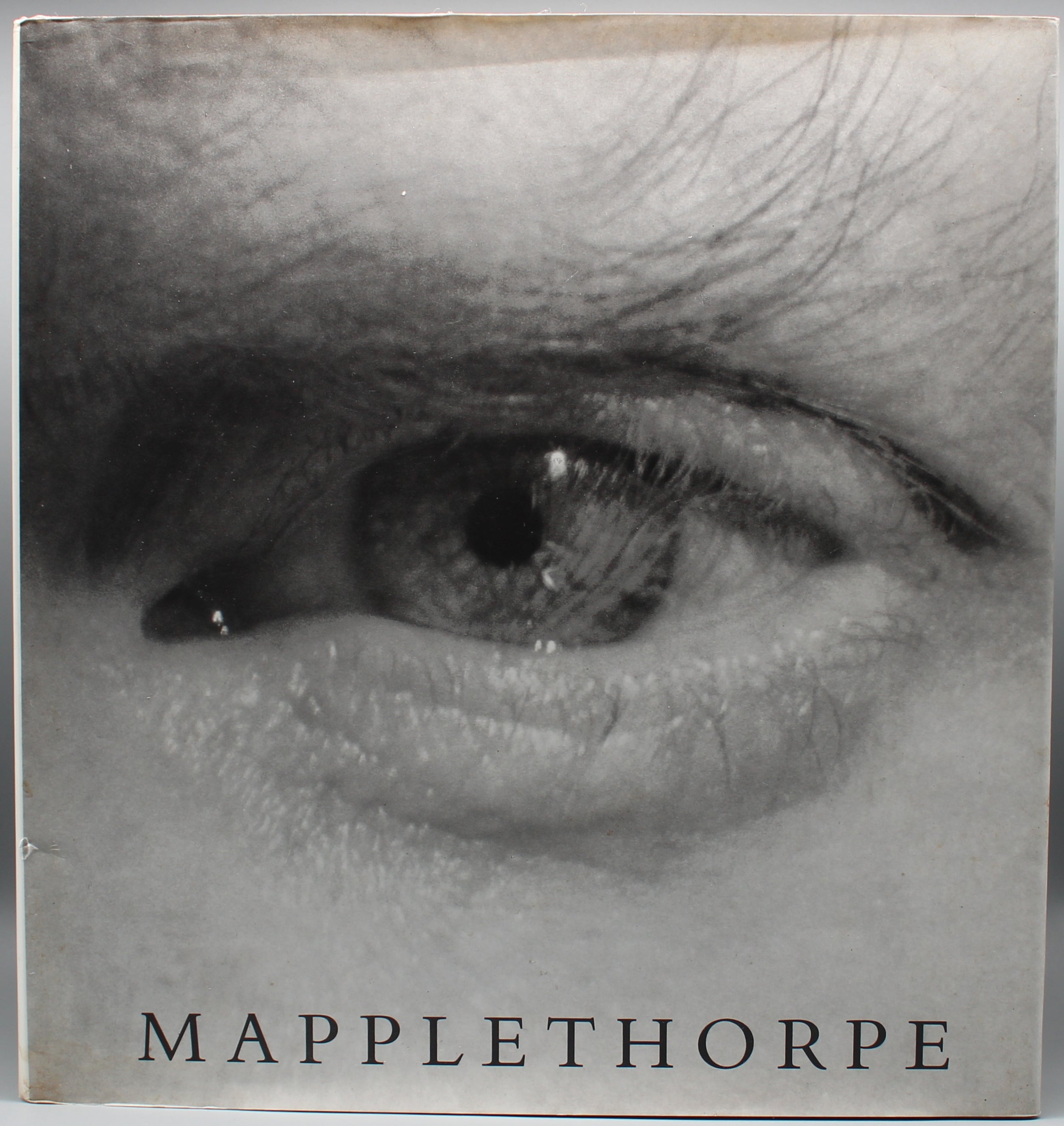Robert Mapplethorpe | Mapplethorpe | Gebundene Ausgabe | Zustand Sehr Gut