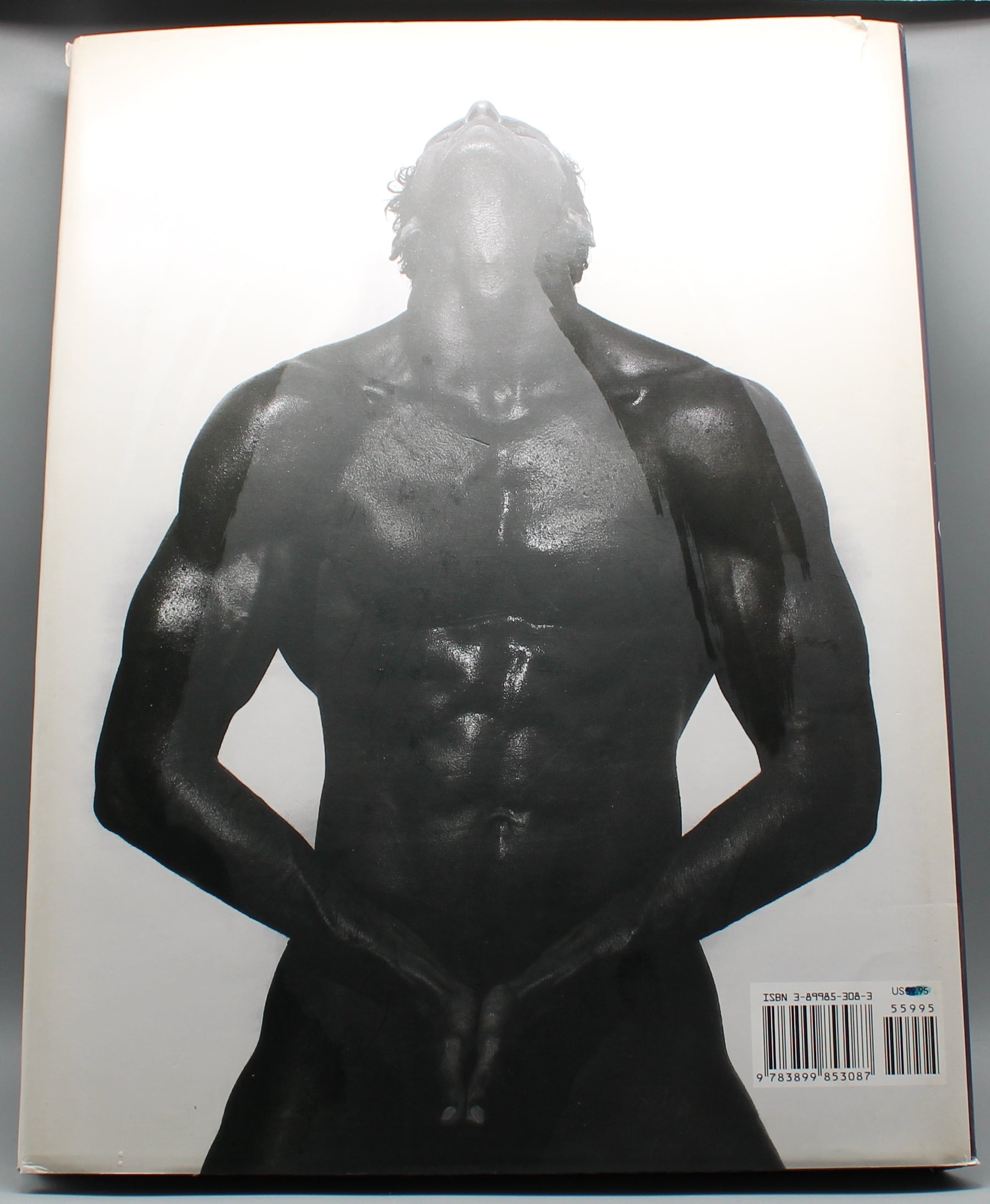 Jos van Gils | The Body: The Finest Collection Of Esthetic Nude Art Photography | Gebundene Ausgabe