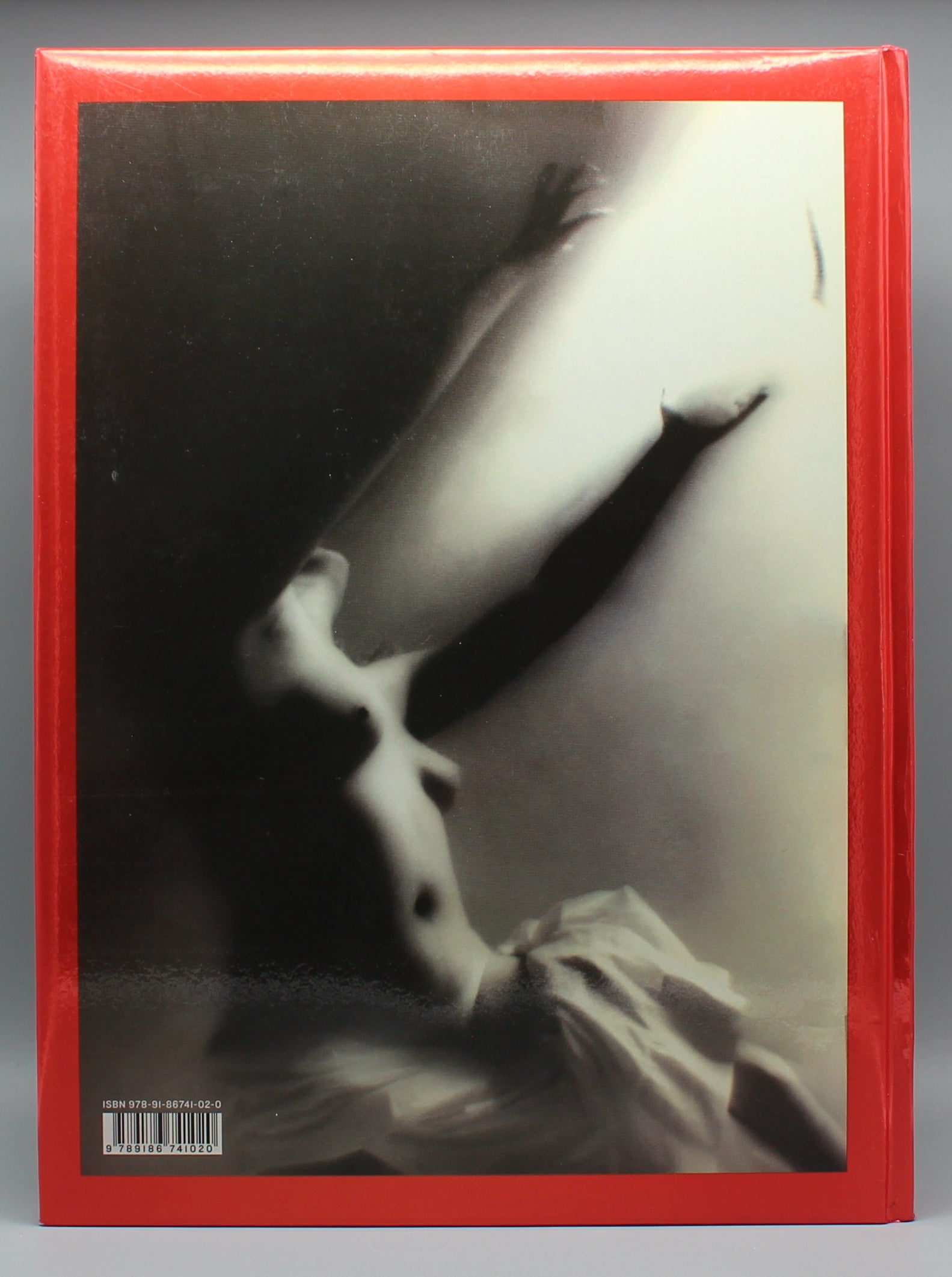 David LaChapelle | Burning Beauty | Gebundene Ausgabe