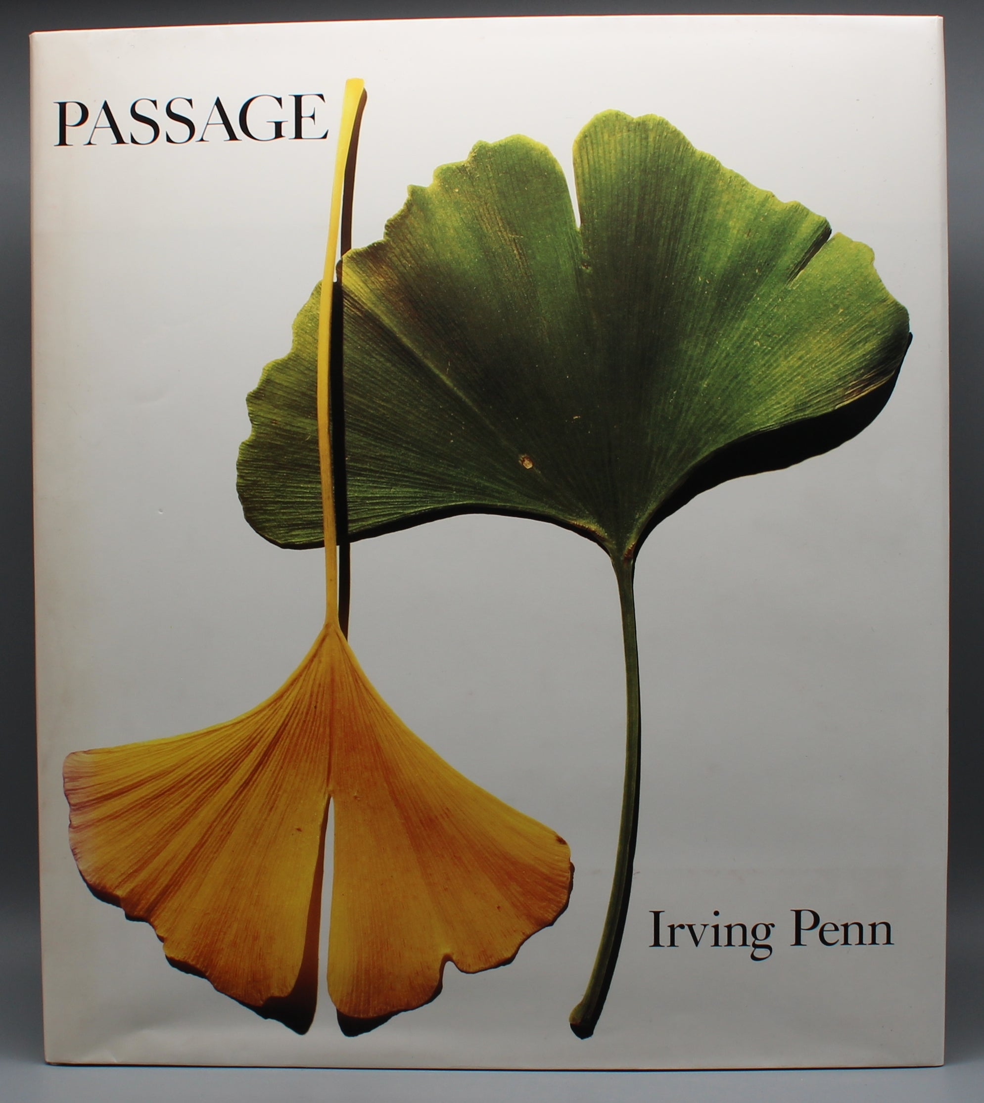 Irving Penn | Passage | Gebundene Ausgabe | Kunstbuch